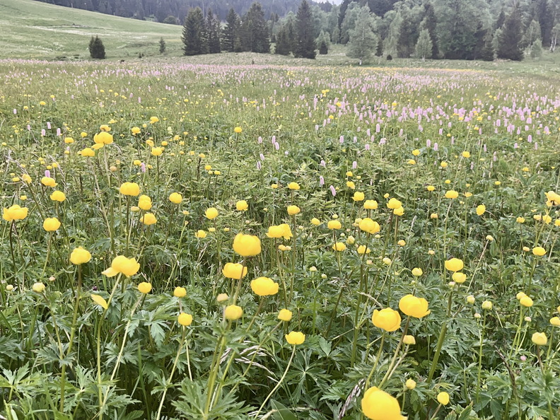 312976A6-2B67-48C9-8913-878D21B666CC